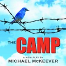 Lynn University to Stage Readings of Three New Plays by Jan McArt in 2017