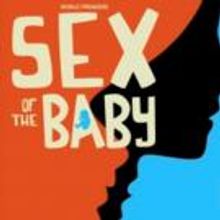 Matthew-Lee Erlbach's SEX OF THE BABY Starts Tonight at Access Theater Gallery Space
