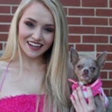 The School of Theatre at Florida State to Stage LEGALLY BLONDE