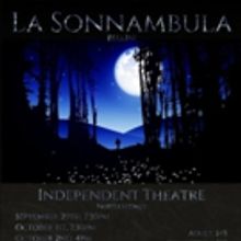 BWW Review: Operantic's LA SONNAMBULA Is A Beautiful Expression Of Bellini's Love Sto