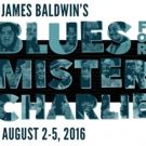 BWW Review: Searing BLUES FOR MISTER CHARLIE from The Williams Project