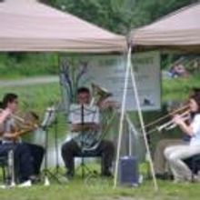 Canton Symphony Orchestra to Offer Free Concert in Petros Lake Park, 9/6