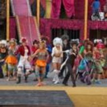 Review Zusammenfassung - CATS bei den Freilichtfestspielen Tecklenburg