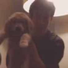 Curious Incident of the Lion King? Alex Sharp Plays Rafiki with His New Puppy Friend