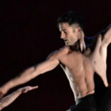 Chicago Dancers United Announces Leadership News