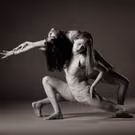 Photo Flash: Sneak Peek at WHITE WAVE Dance's 2015 DUMBO Dance Festival Lineup
