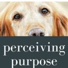 Sanjay Gupta Releases PERCEIVING PURPOSE