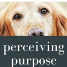 Sanjay Gupta Releases PERCEIVING PURPOSE