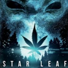 Micro-Budget Movie STAR LEAF Hits Top 10 in Pirated Films