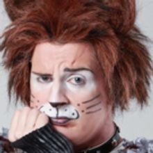 VIDEO: Gerard McCarthy Stars in CAT, a Heart-Breaking Show-Biz Memory