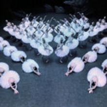 Derek Deane to Present a Grand Version of SWAN LAKE