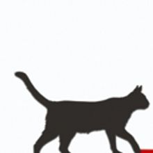 Exeter Northcott Announces DICK WHITTINGTON as 2017 Christmas Show