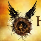 Ticket Resale Con Man Used HARRY POTTER AND THE CURSED CHILD to Steal $7.9 Million