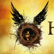Ticket Resale Con Man Used HARRY POTTER AND THE CURSED CHILD to Steal $7.9 Million