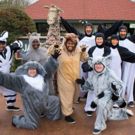New Stage Theatre Presents MADAGASCAR - A MUSICAL, Thru 2/3