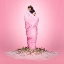 BWW Review: PUCCINI SPECTACULAR Presented Selections From Nine Operas In Two hours