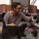 BWW Exclusive: TAILS OF BROADWAY- Meet Ariana DeBose's Feline Friends, Freddy and…