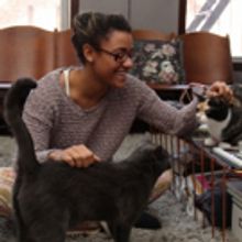 BWW Exclusive: TAILS OF BROADWAY- Meet Ariana DeBose's Feline Friends, Freddy and Izz