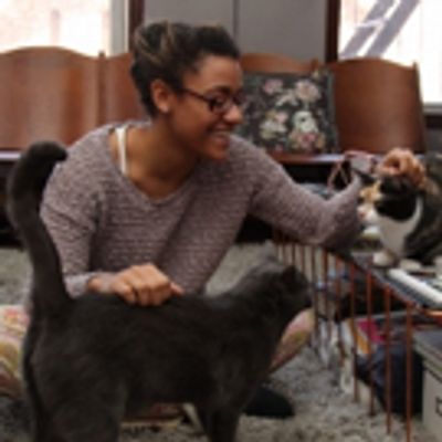 BWW Exclusive: TAILS OF BROADWAY- Meet Ariana DeBose's Feline Friends, Freddy and Izzy!