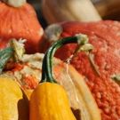 BWW Cooks: Easy (No Work) Pumpkin Cake