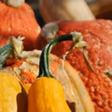BWW Cooks: Easy (No Work) Pumpkin Cake