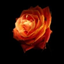 WOMEN ON FIRE, TOP GIRLS and More Set for Mamai Theatre Company's 2016 Season