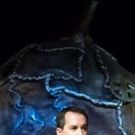 BWW Review: An Open Letter to MY FATHER'S LEFT TESTICLE at Depot Theatre