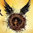 Producers Say HARRY POTTER AND THE CURSED CHILD Attracting 50% New Theatre-Goers