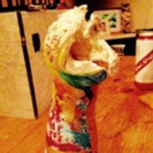 BWW Blog: Siobhan O'Loughlin - Bathtubs in Tiny Totnes