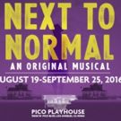 NEXT TO NORMAL Next Up at Pico Playhouse