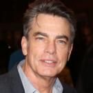 ON THE TWENTIETH CENTURY's Peter Gallagher to Practice Law in THE GOOD WIFE