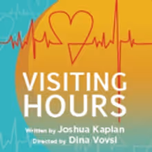 Joshua Kaplan's VISITING HOURS to Play TheaterLab NYC for One Week Engagement