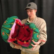 Aspire Community Theatre Presents LITTLE SHOP OF HORRORS