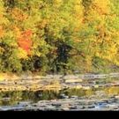 Rhinebeck Writers Retreat Now Accepting Applications for Summer 2016