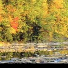 Rhinebeck Writers Retreat Now Accepting Applications for Summer 2016