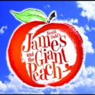 BWW Interview: Stephen Fox and JAMES AND THE GIANT PEACH at The Growing Stage