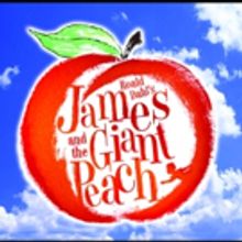 Stephen Fox and JAMES AND THE GIANT PEACH at The Growing Stage