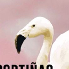 CSULB Theatre Arts Department's University Players to Present BIRD IN THE HAND, 4/8-1