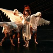  Brooklyn Center for the Performing Arts Presents Coyote's Dance