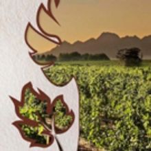 BWW Blog: The 51st Fleur du Cap Theatre Awards in Review