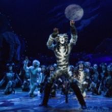 CATS Will Perform on GOOD MORNING AMERICA This Thursday