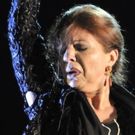 BWW Review: GALA FLAMENCA 2017, Sadler's Wells