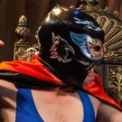 Young People's Theatre to Present JACOB TWO-TWO MEETS THE HOODED FANG LIGHTS
