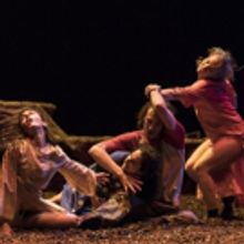 Vim Vigor Dance Company Presents New York Premiere Of FUTURE PERFECT, 2/2-11