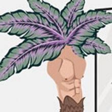 KOKOSKACO Presents THE MIRROR TEST