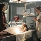 TNT Orders Short Seventh Season of RIZZOLI & ISLES