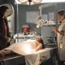 TNT Orders Short Seventh Season of RIZZOLI & ISLES