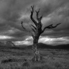 The Point Eastleigh to Present MACBETH 18/11