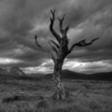 The Point Eastleigh to Present MACBETH 18/11