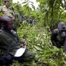 Critically Acclaimed Series EXPLORER Returns to Nat Geo Channel, 11/14